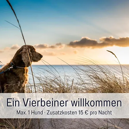 Huus Binnensee - Erdgeschoss-wohnung Mit Garten & Seeblick - Wintergarten & Terrasse - Hundefreundlich - Ruhige Lage - Suedstrand 5 Min Mit Rad