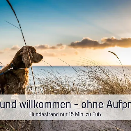 Huus Binnensee - Erdgeschoss-wohnung Mit Garten & Seeblick - Wintergarten & Terrasse - Hundefreundlich - Ruhige Lage - Suedstrand 5 Min Mit Rad 公寓 费马恩