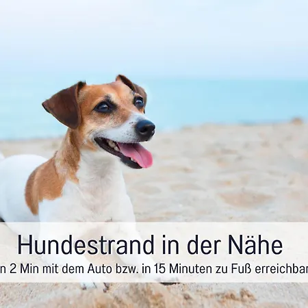 Huus Binnensee - Erdgeschoss-wohnung Mit Garten & Seeblick - Wintergarten & Terrasse - Hundefreundlich - Ruhige Lage - Suedstrand 5 Min Mit Rad * 费马恩